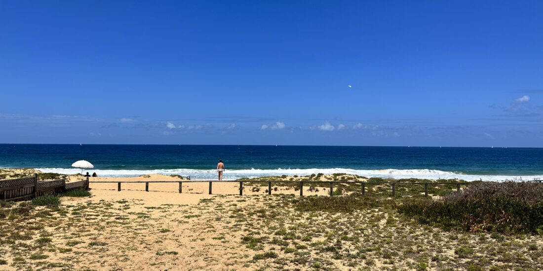 Narrabeen Beach